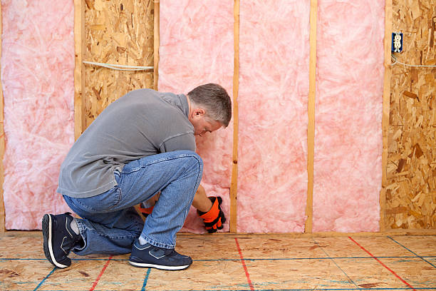 Best Cellulose Insulation in Golden Hills, CA